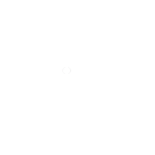 Diverse taxi tours